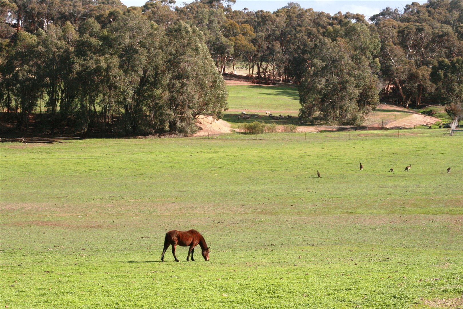 Bakers Hill WA 6562, Image 0