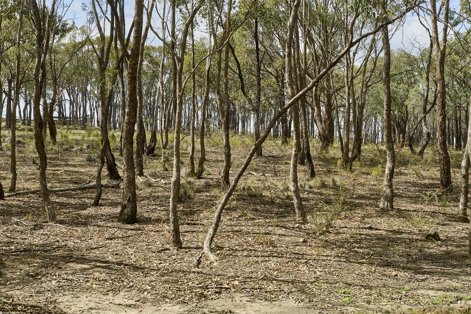 Additional image 6 of 555 Dairy Flat Road, Heathcote VIC 3523