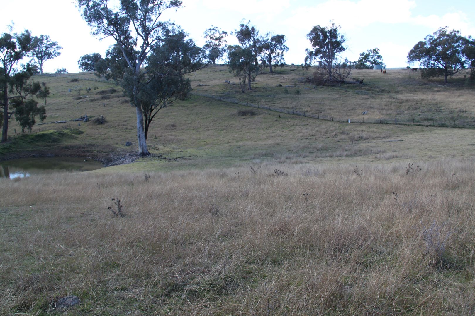 Lot 352 Splitters Gully Road, Nundle NSW 2340, Image 2