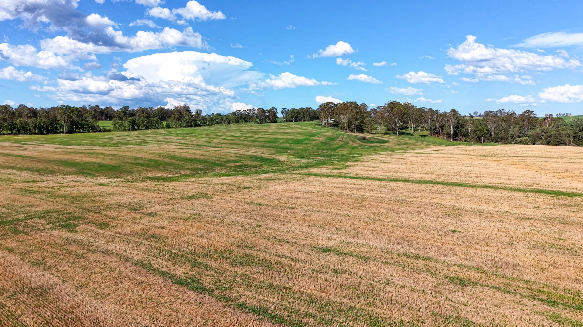 Additional image 22 of 119 Paddys Flat Road, Tabulam NSW 2469