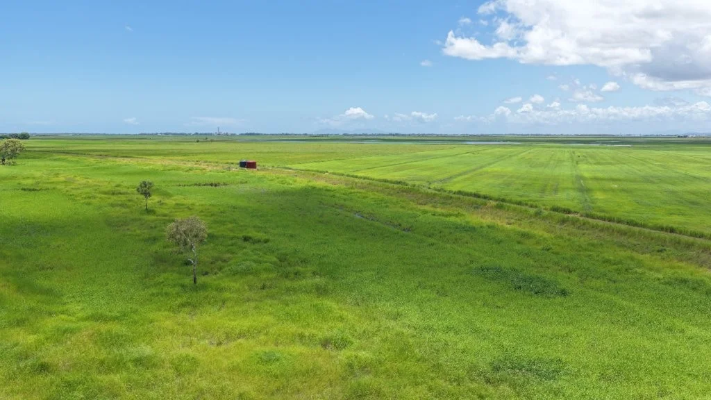 Additional image 21 of 162 Becker Road, Brandon QLD 4808