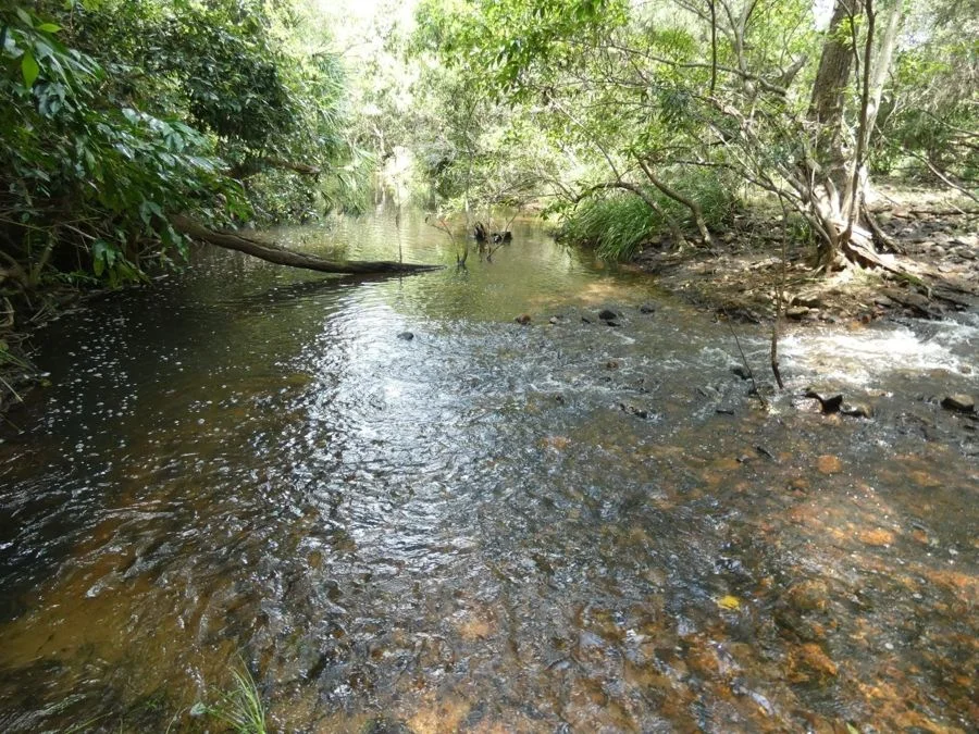 Image 21