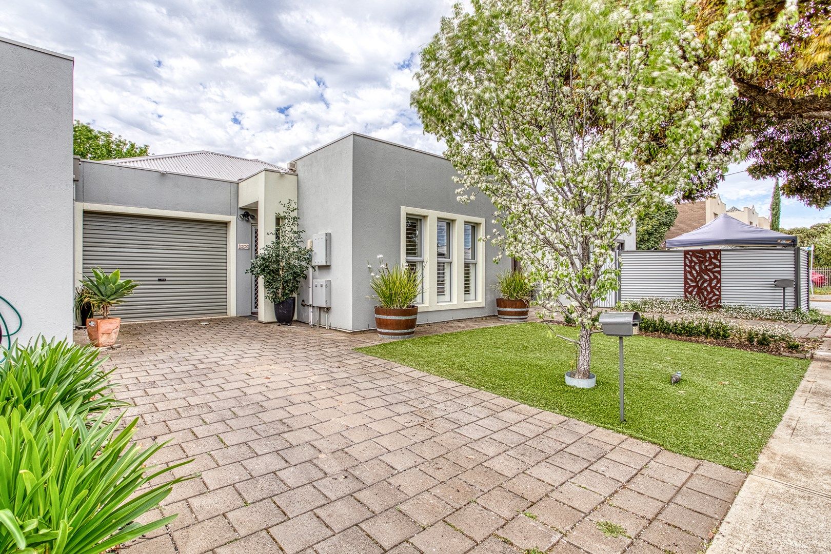 11B Albany Crescent, Oaklands Park SA 5046, Image 0