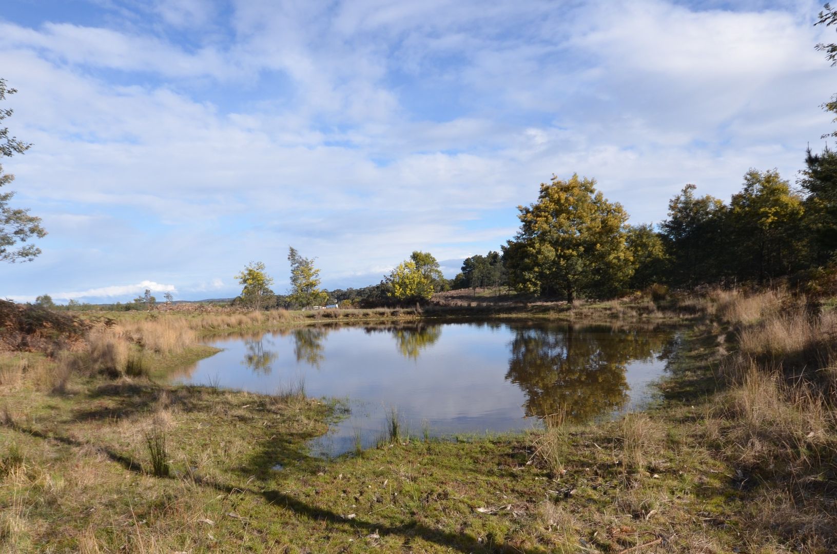 Papadimitriou Graveyard Hill Road, Raglan VIC 3373, Image 1