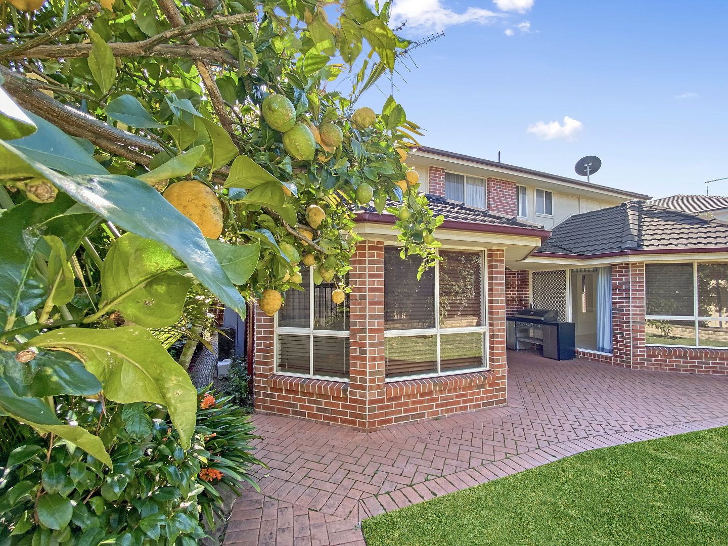 7 David Avenue, North Ryde NSW 2113 House For Rent Domain