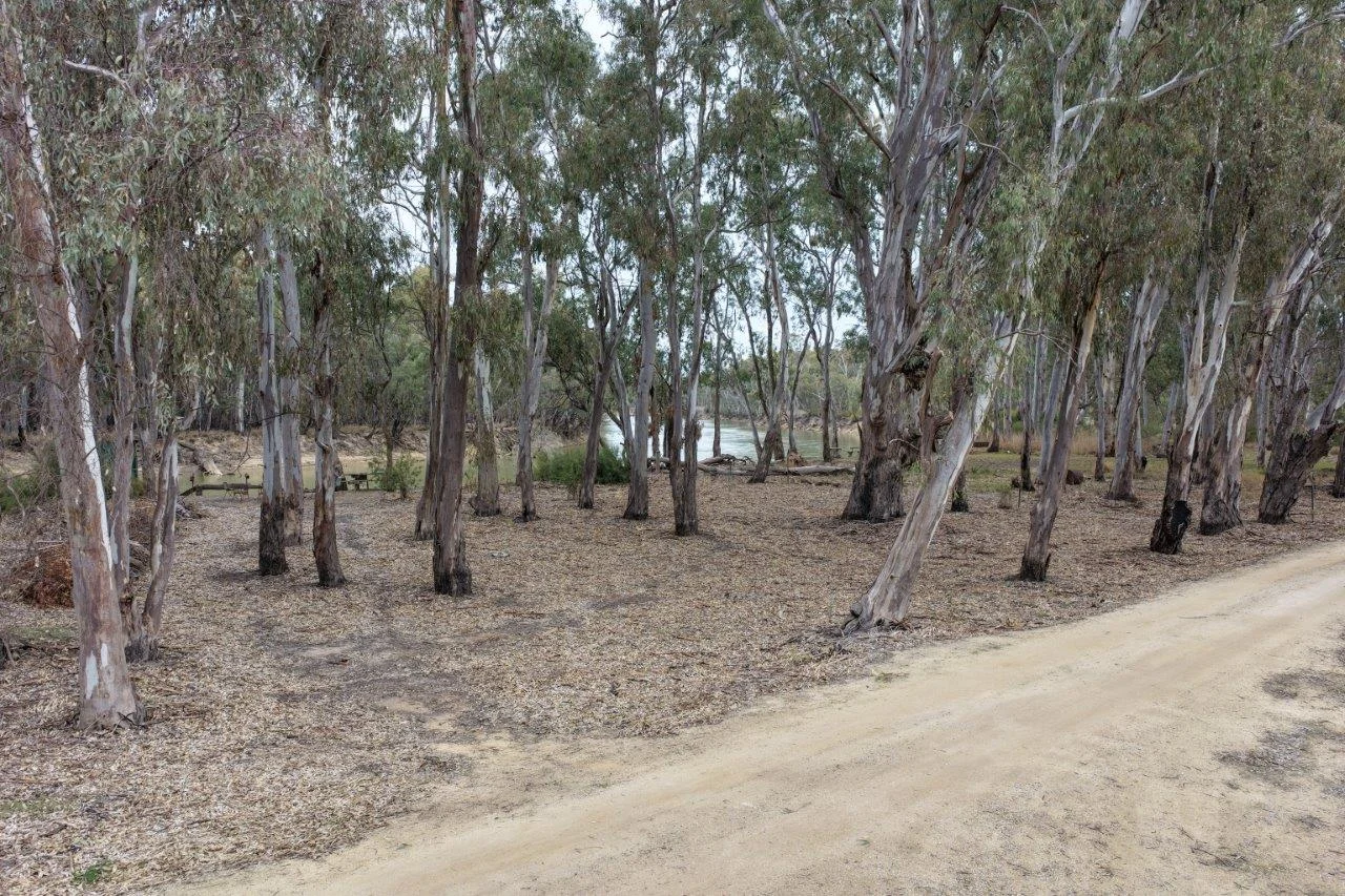 Image 12