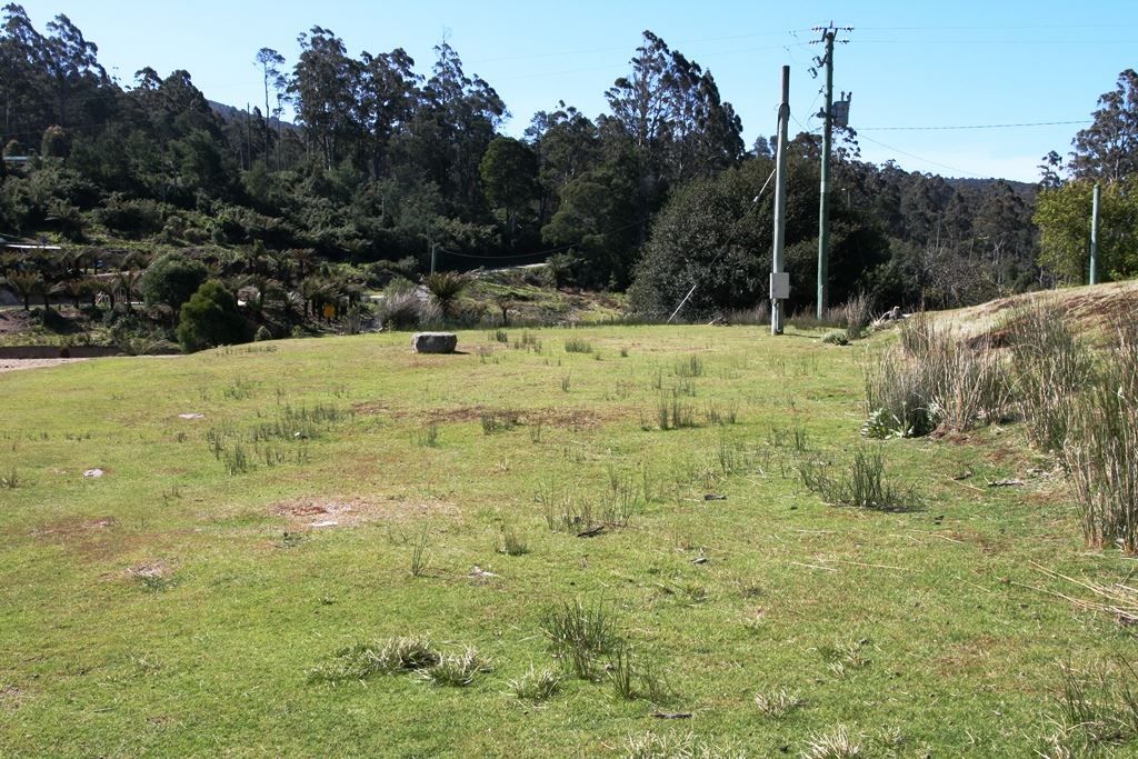 833 Lottah Road, Lottah TAS 7216, Image 2