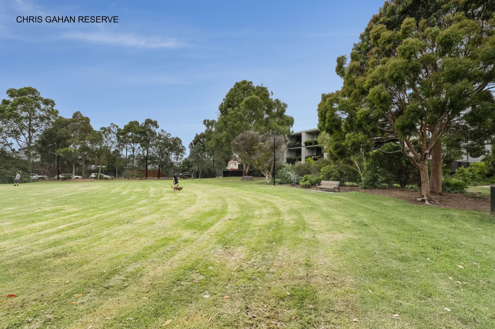 Additional image 10 of 21 The Avenue, Windsor VIC 3181