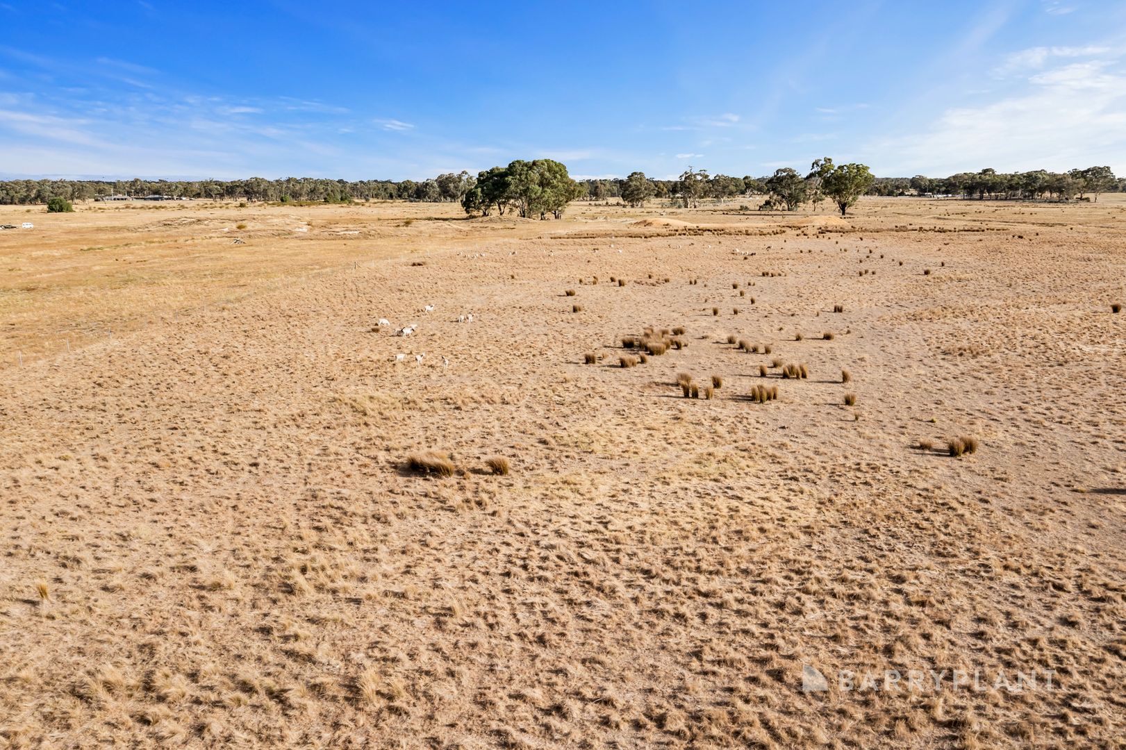 524 AlmaBowenvale Road, Bowenvale VIC 3465 Vacant Land for Sale