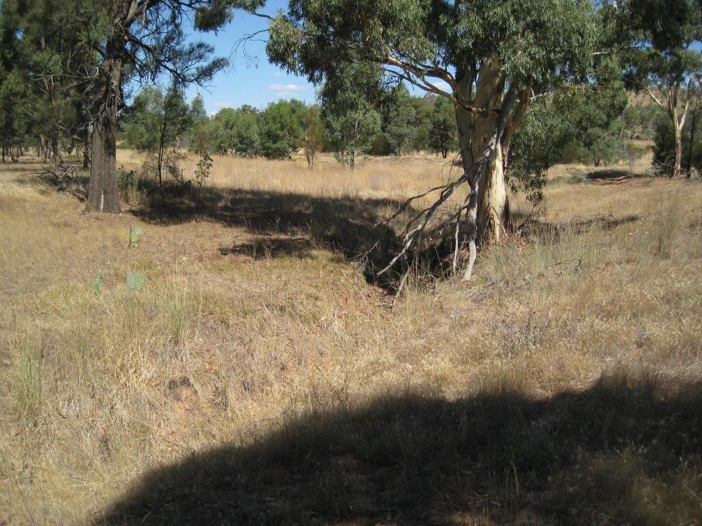 CA 11/Sec B Woosang Cnr Turnbulls Road And Calder Highway, Wedderburn VIC 3518, Image 2