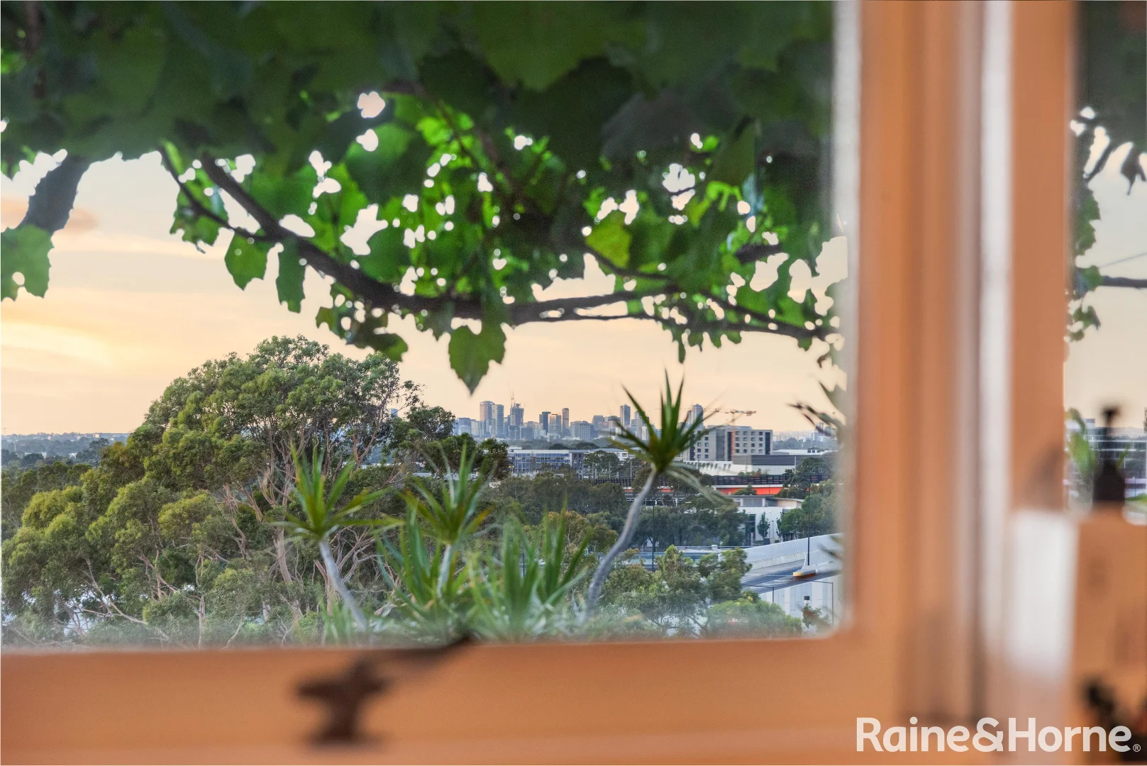 Image 19