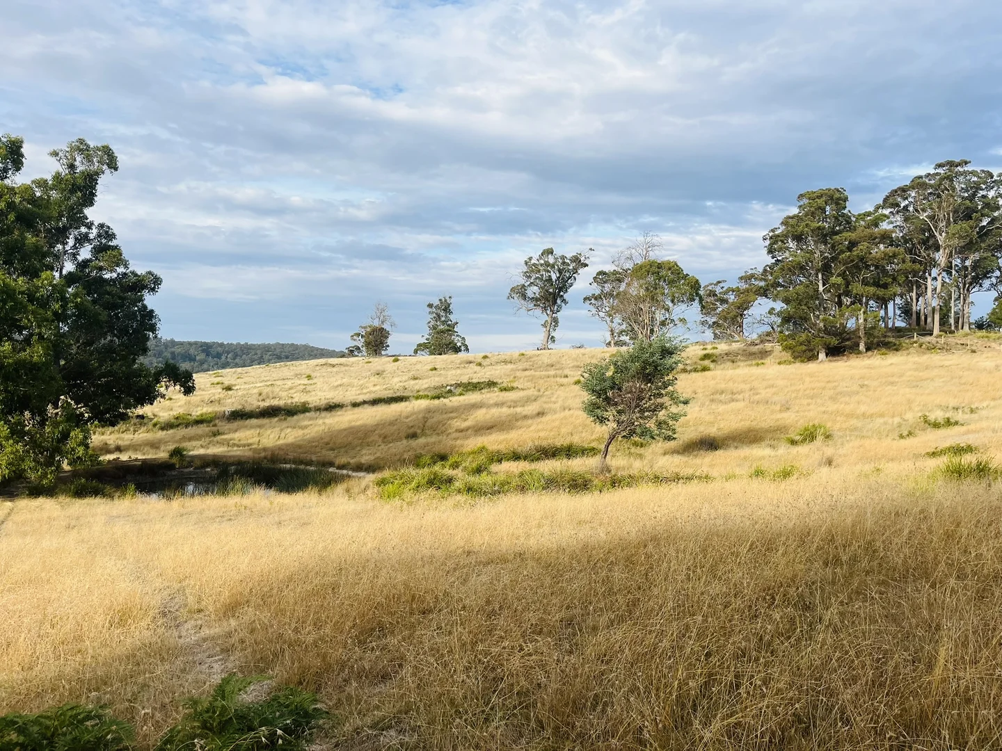 Image 17