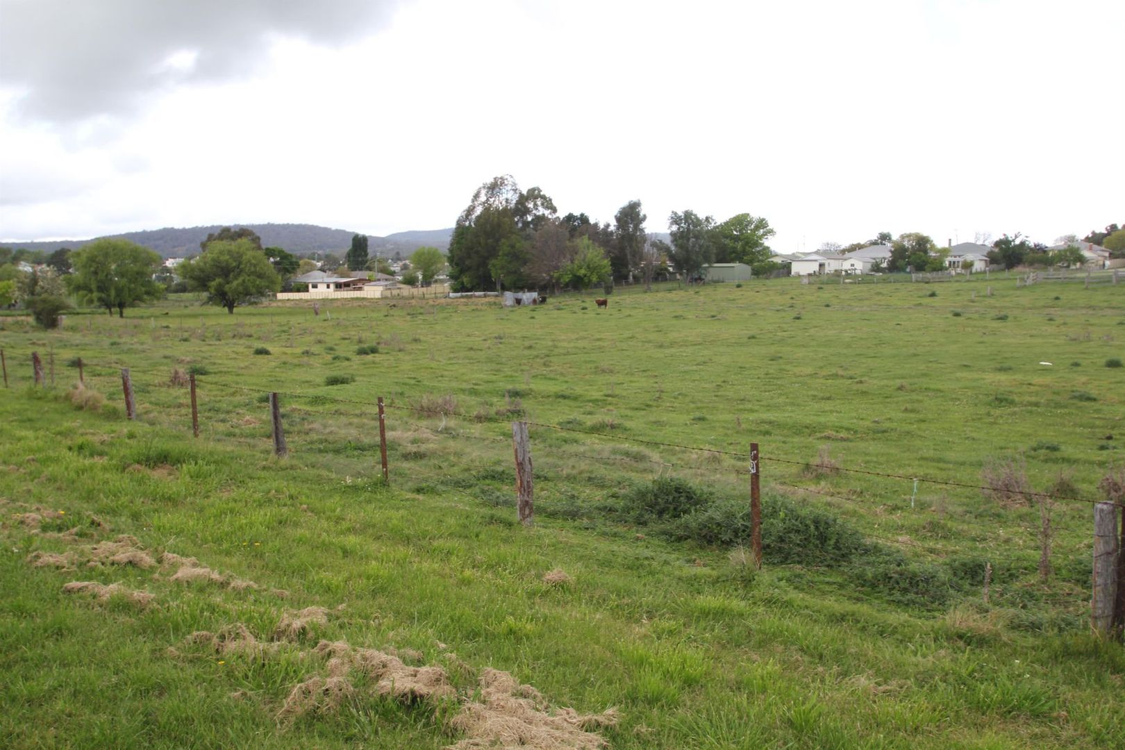 Lot 2 Pelham Street, Tenterfield NSW 2372, Image 1