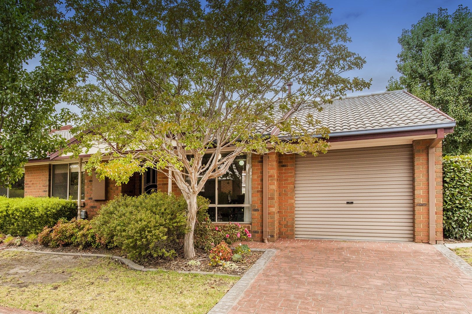 24 Sandon Circuit, Forest Hill VIC 3131, Image 0
