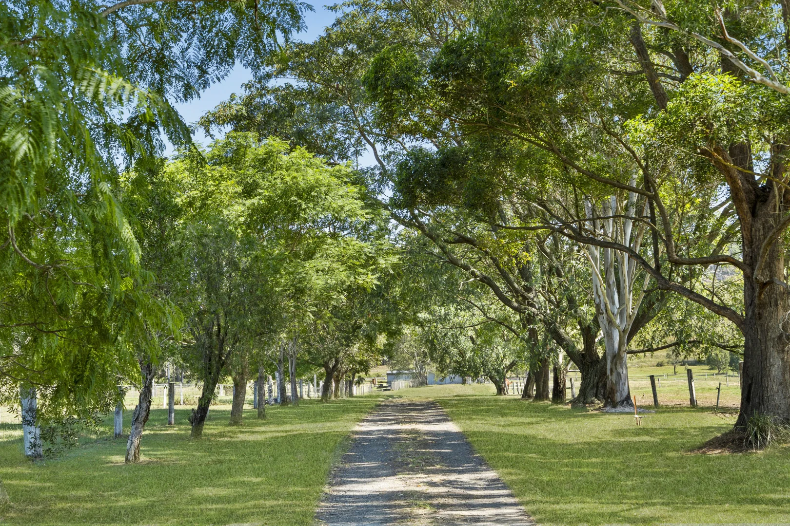 Additional image 25 of 363 Round Mountain Road, Laravale QLD 4285
