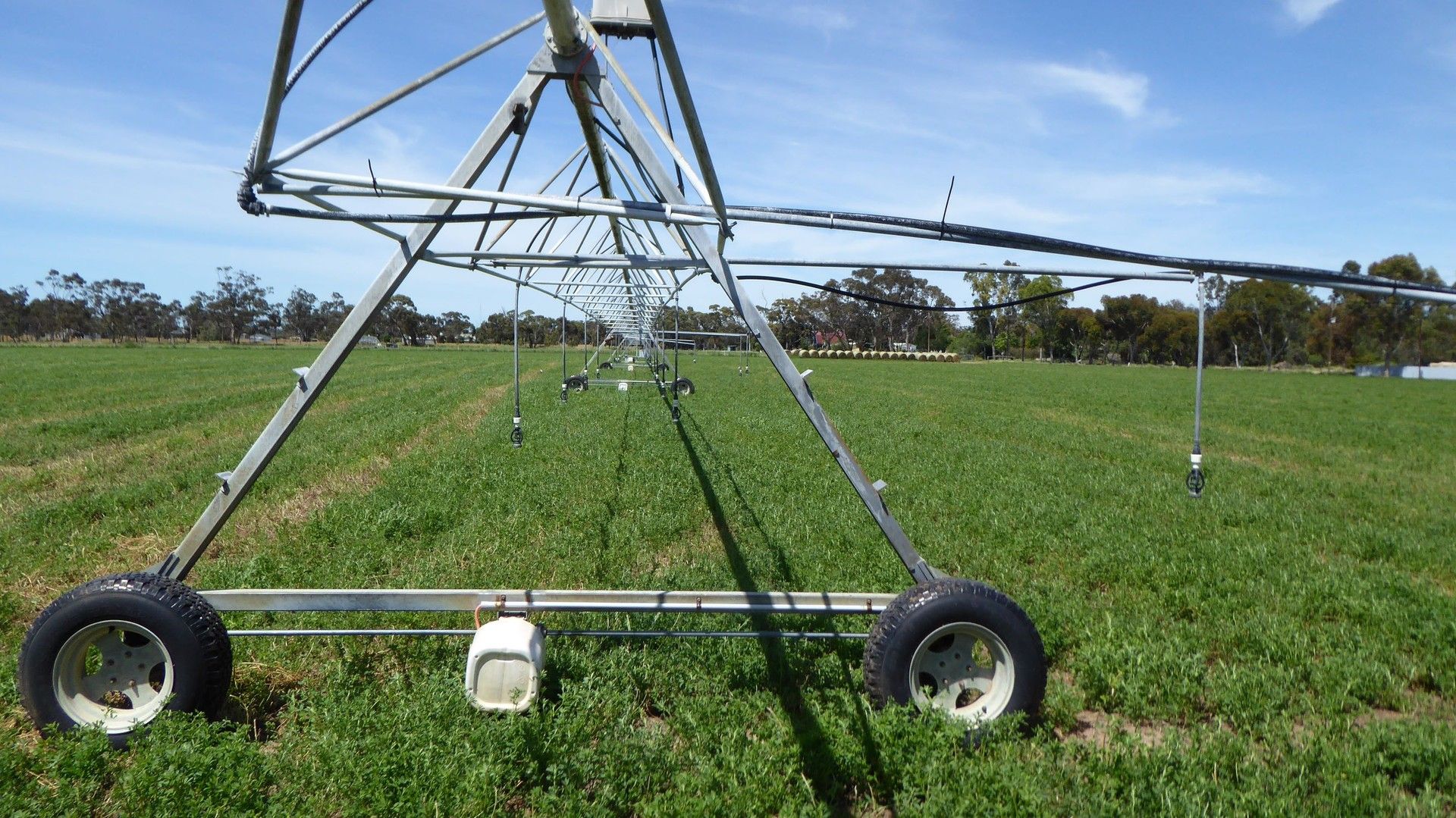 Sec 151/152, Lot 503 Chark Road, Mundulla SA 5270 Specialist Farm for