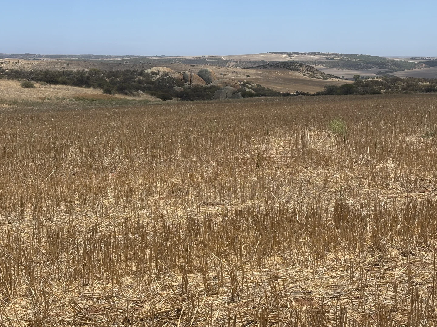 Image 15