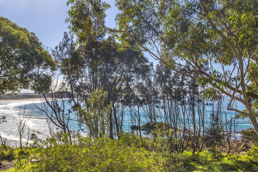 17 Surfers Ave, Narrawallee NSW 2539, Image 2