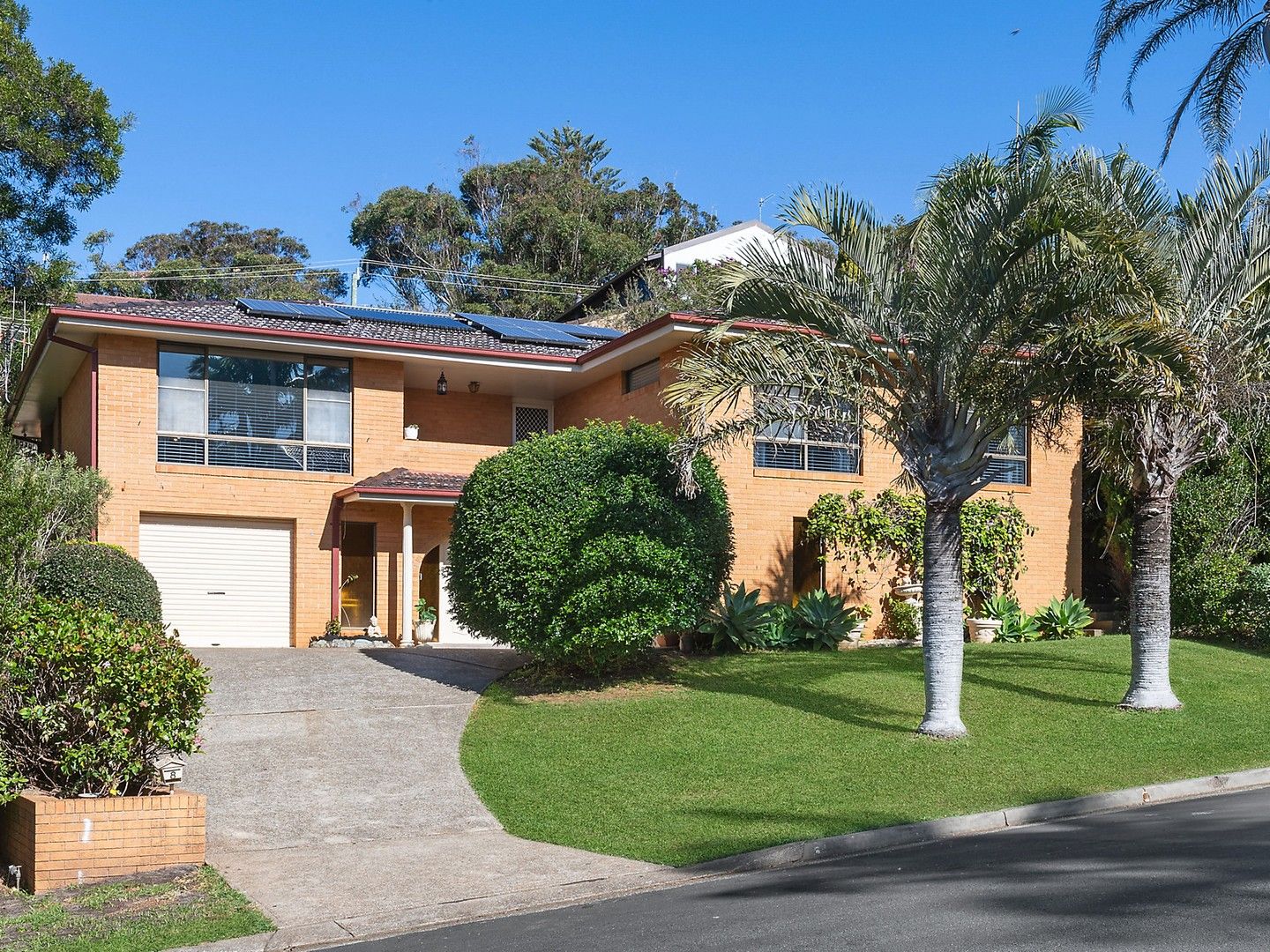 8 Primula Place, Port Macquarie NSW 2444, Image 0