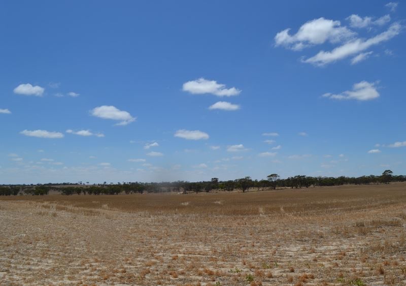 Lot 395 Cooalling Road, Cunderdin WA 6407, Image 2