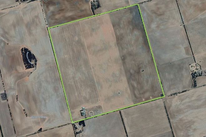 Picture of 841 Jeparit-Warracknabeal Road, JEPARIT VIC 3423