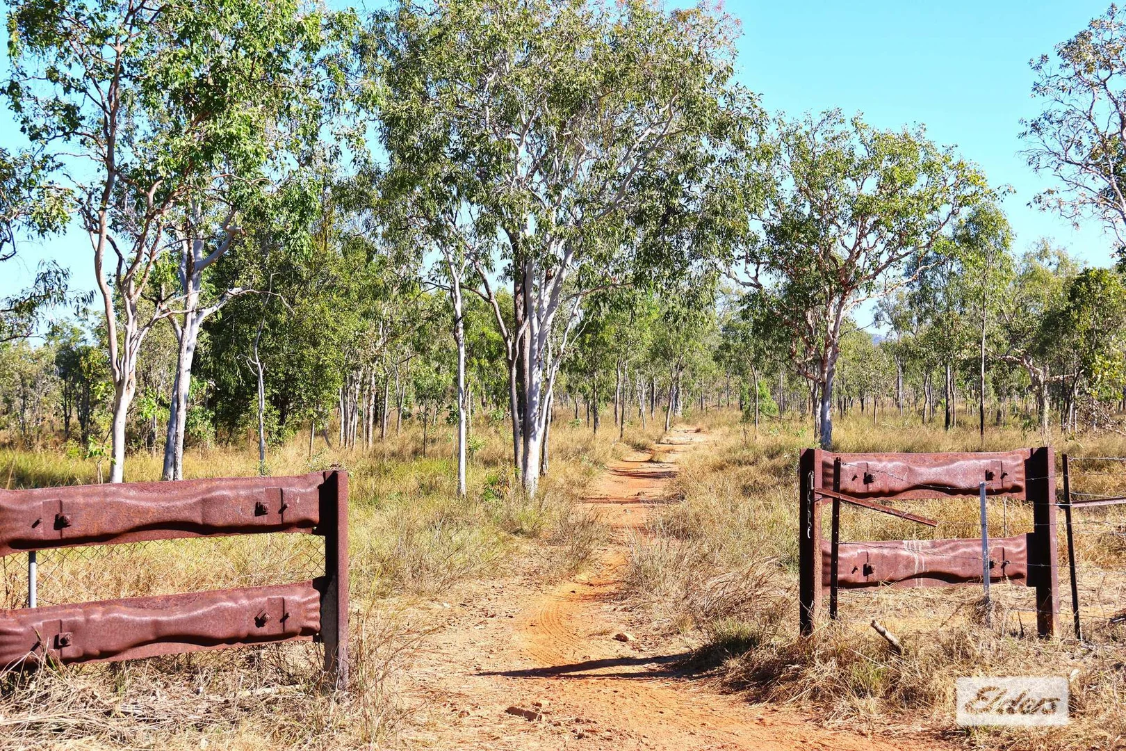 Image 11