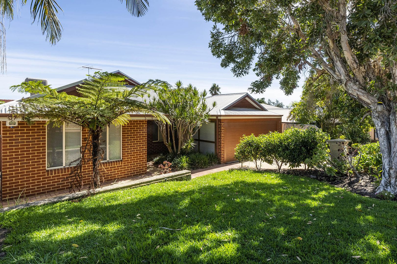 46 Senecio Lane, Beeliar WA 6164, Image 1