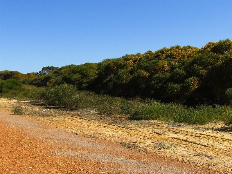 Lot 204 Ridge Way, Jurien Bay WA 6516 Vacant Land for Sale 239,000