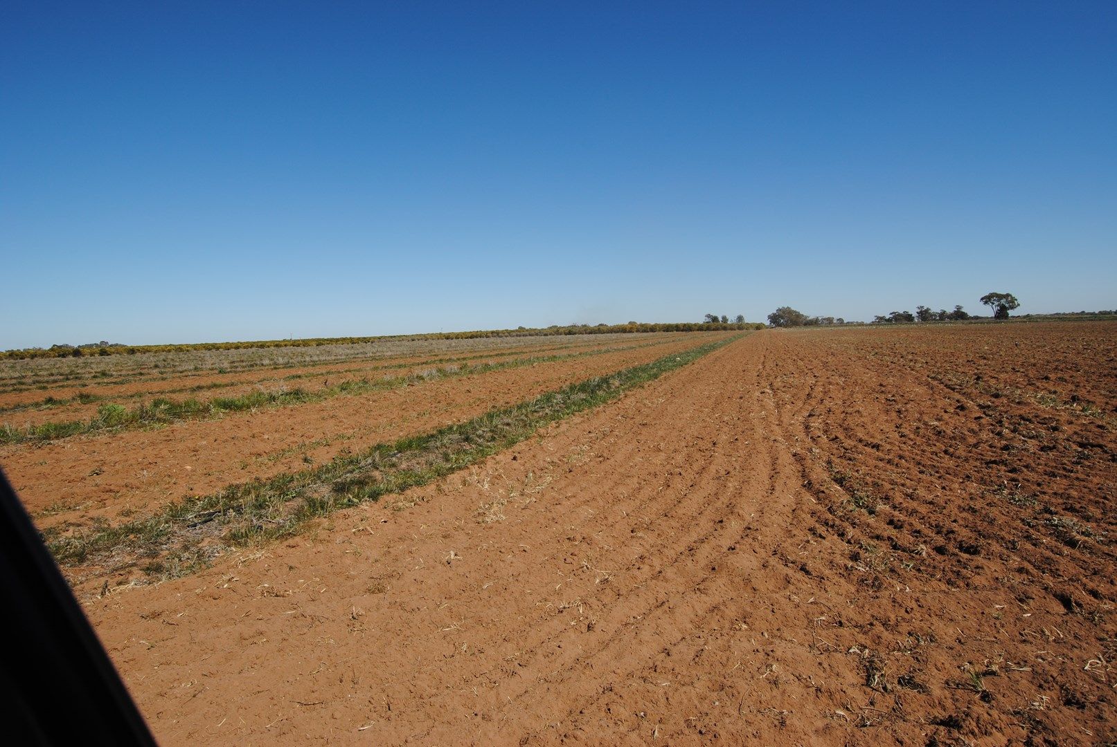 Farm 1080 Bonomi Road, Willbriggie NSW 2680, Image 1