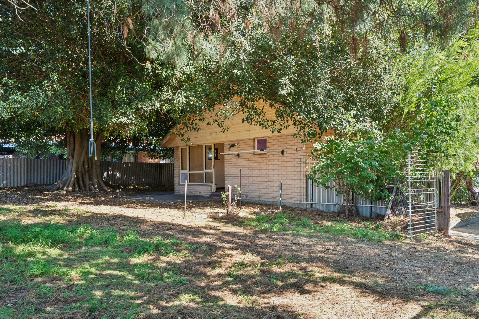 Image 21
