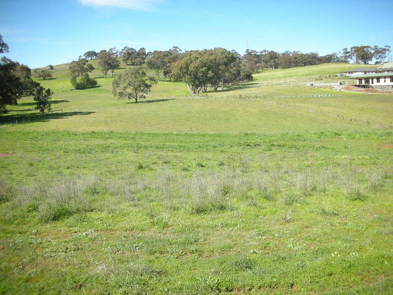 Lot 11 Leaney Court, Penrice SA 5353, Image 0