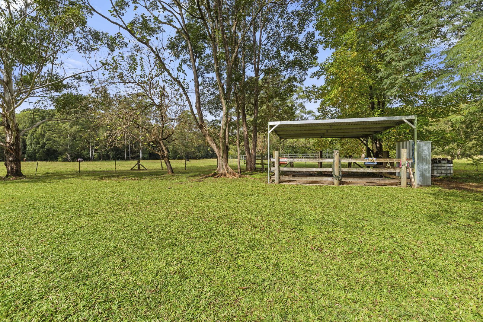 249 ROWLANDS CREEK ROAD, Uki NSW 2484, Image 2