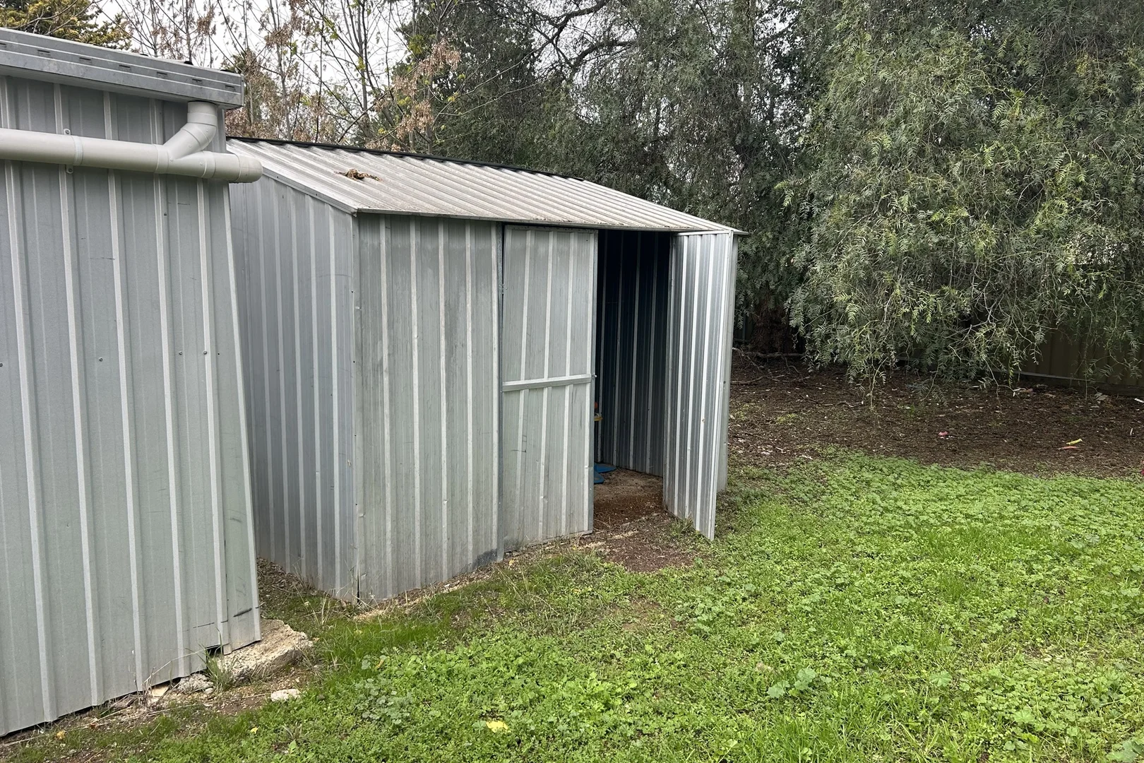 Image 19