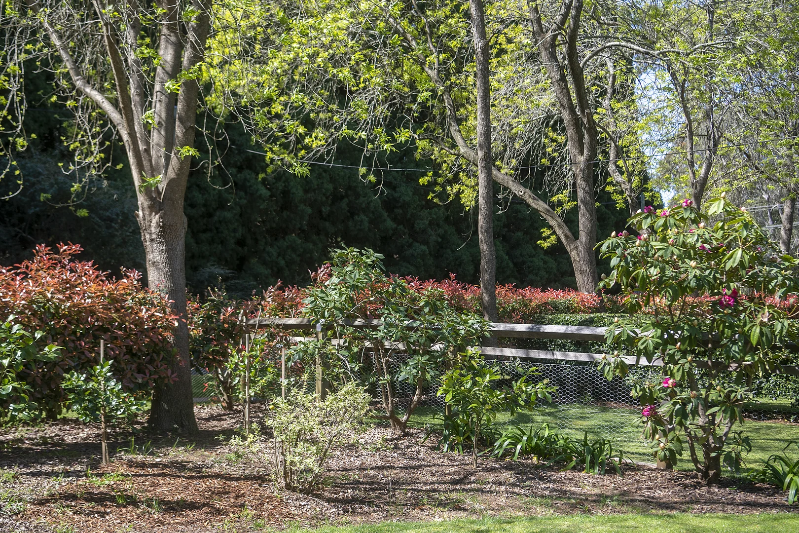 Additional image 15 of 1A Werrington Street, Burradoo NSW 2576