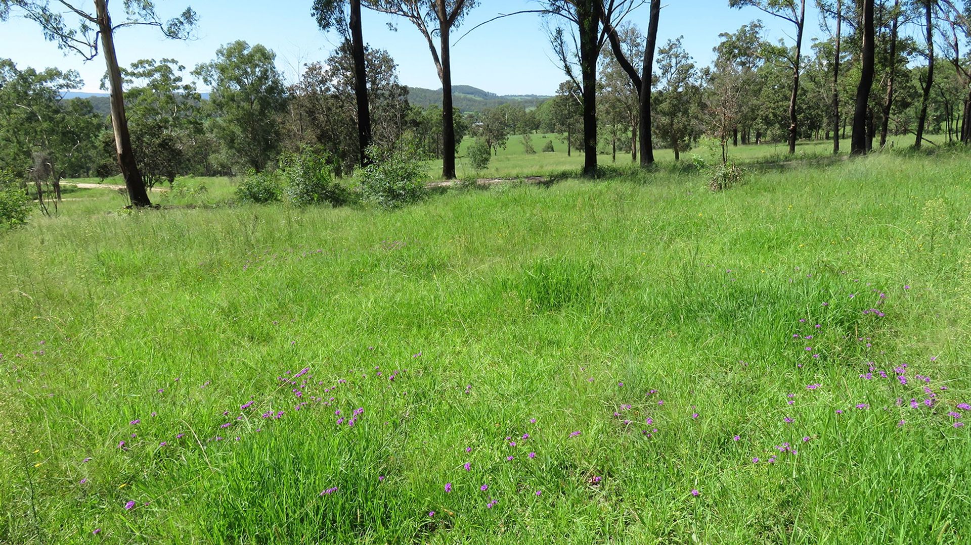 Lot 3 Wellington Lookout Road, Tenterfield NSW 2372, Image 1