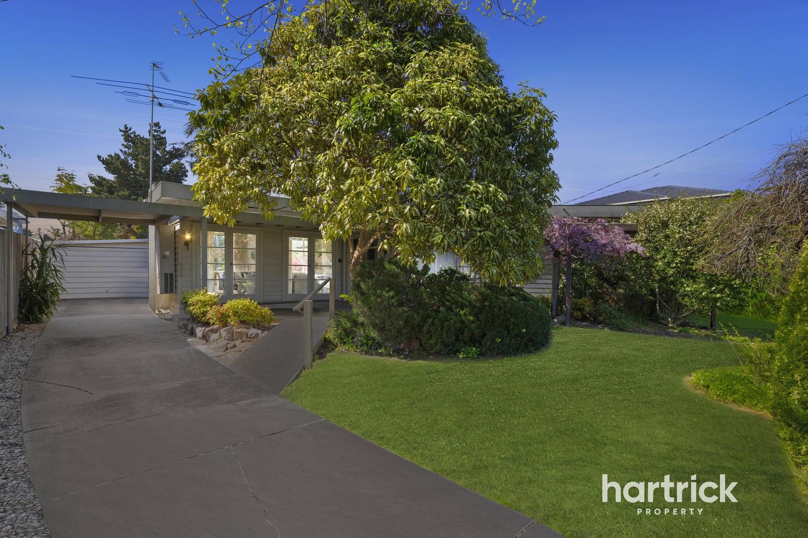 20 Cratloe Road, Mount Waverley VIC 3149, Image 1