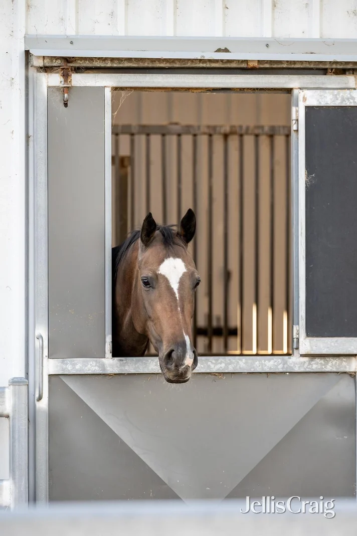 Additional image 32 of 272 Steels Creek Road, Yarra Glen VIC 3775