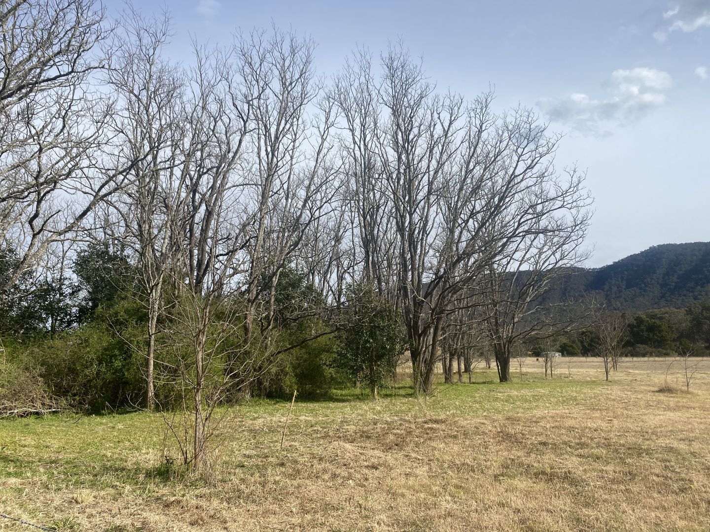 126 Catholic Cemetery Road, Braidwood NSW 2622, Image 1