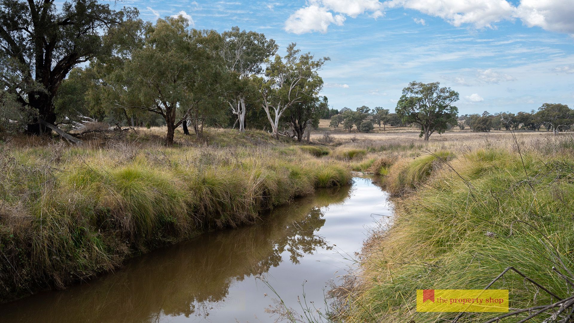 298 Gollan Road, Mudgee NSW 2850, Image 1