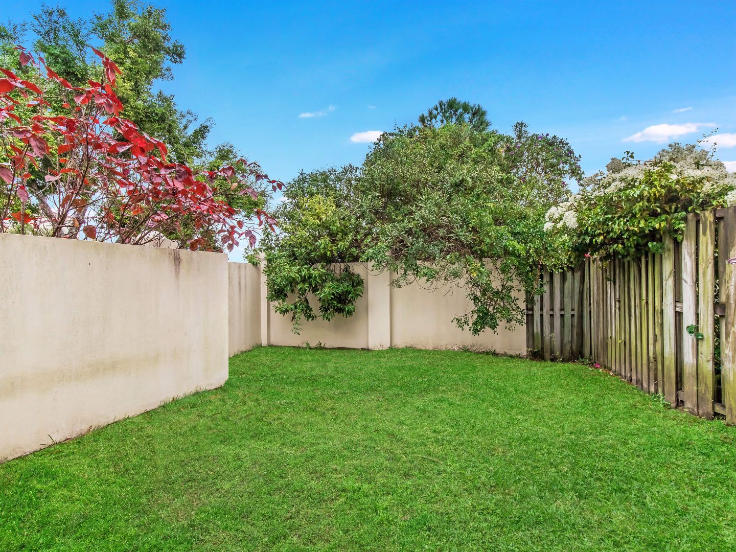 901/1 Gentian Drive, Arundel QLD 4214, Image 2