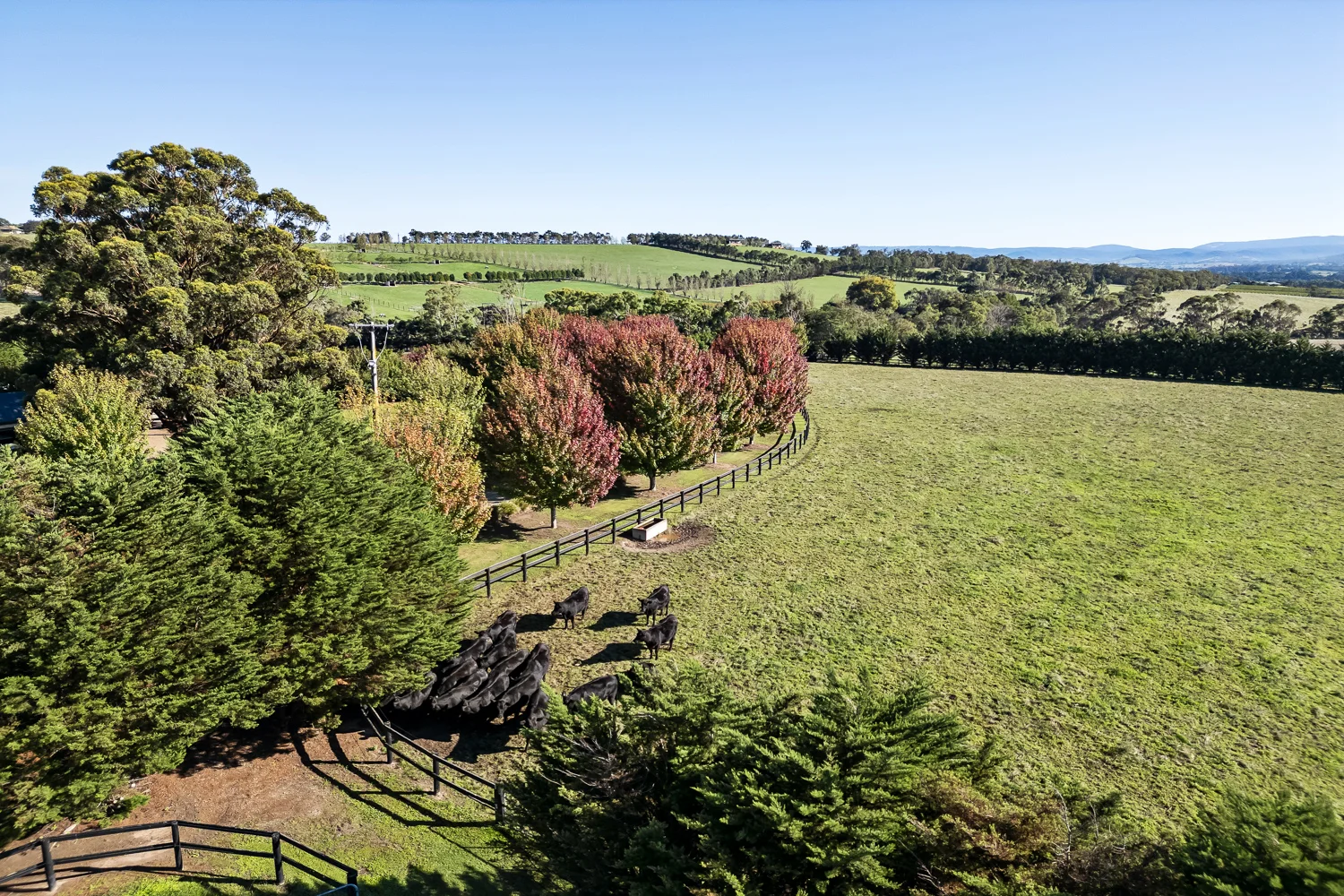 Additional image 15 of 11 Harbourmaster Road, Coldstream VIC 3770