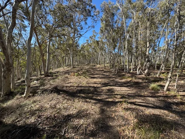 Image 7