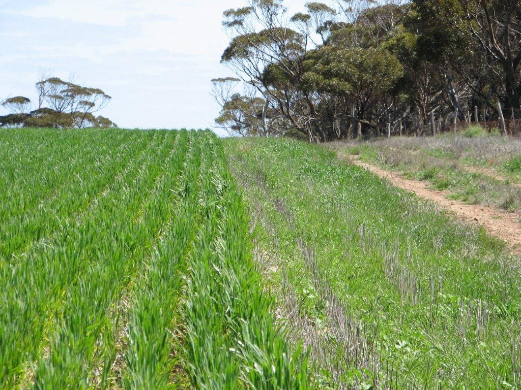 South Coastal Highway, Ravensthorpe WA 6346, Image 2