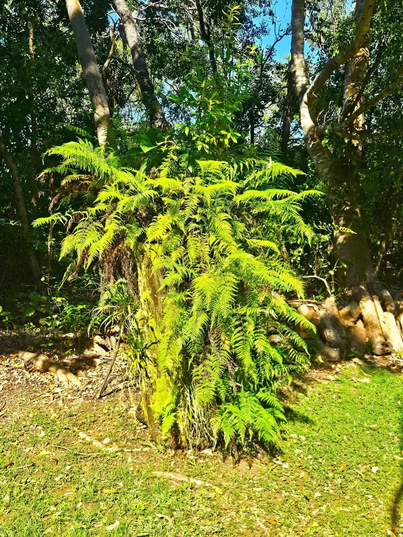 Image 13