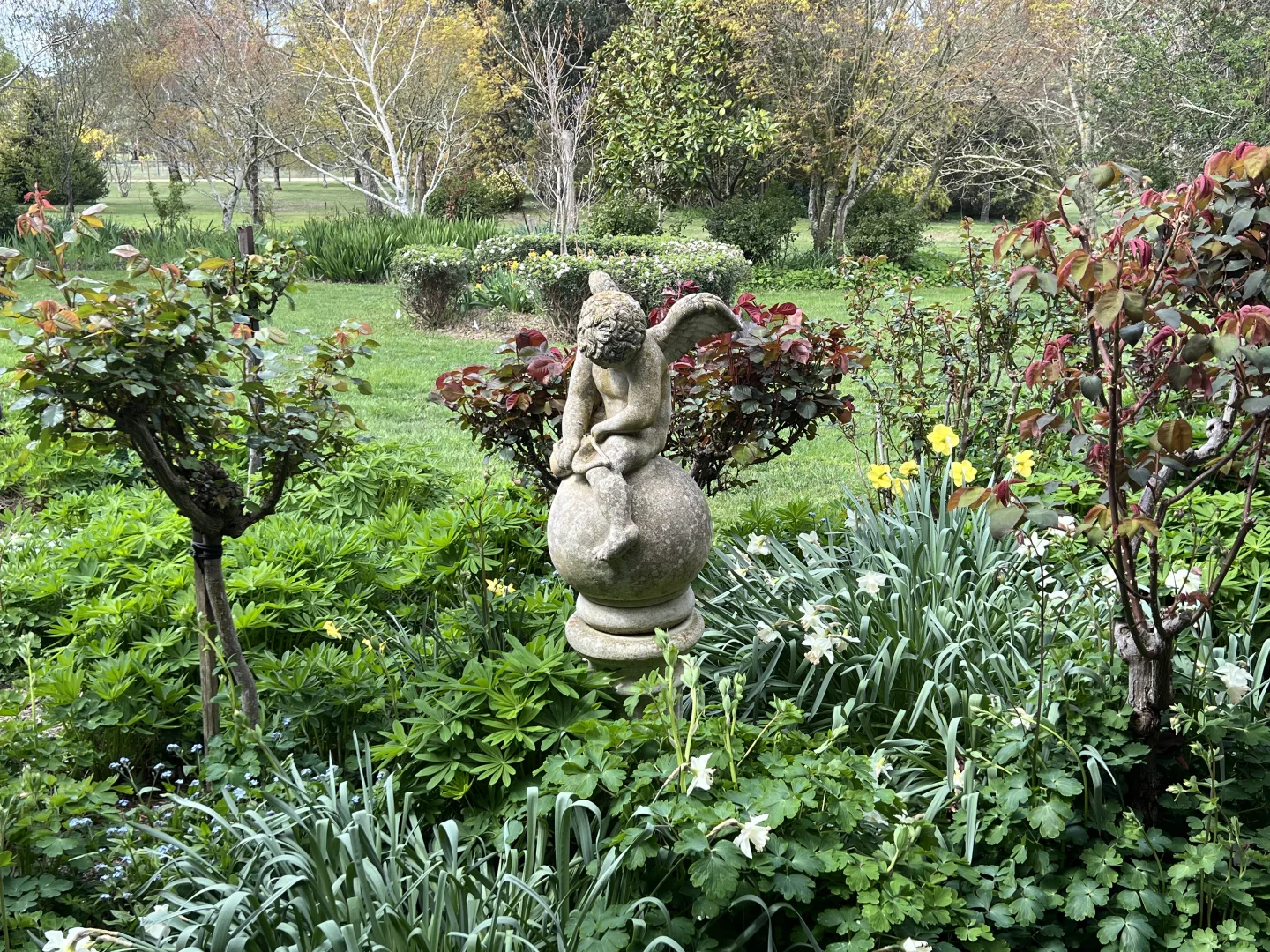Image 21
