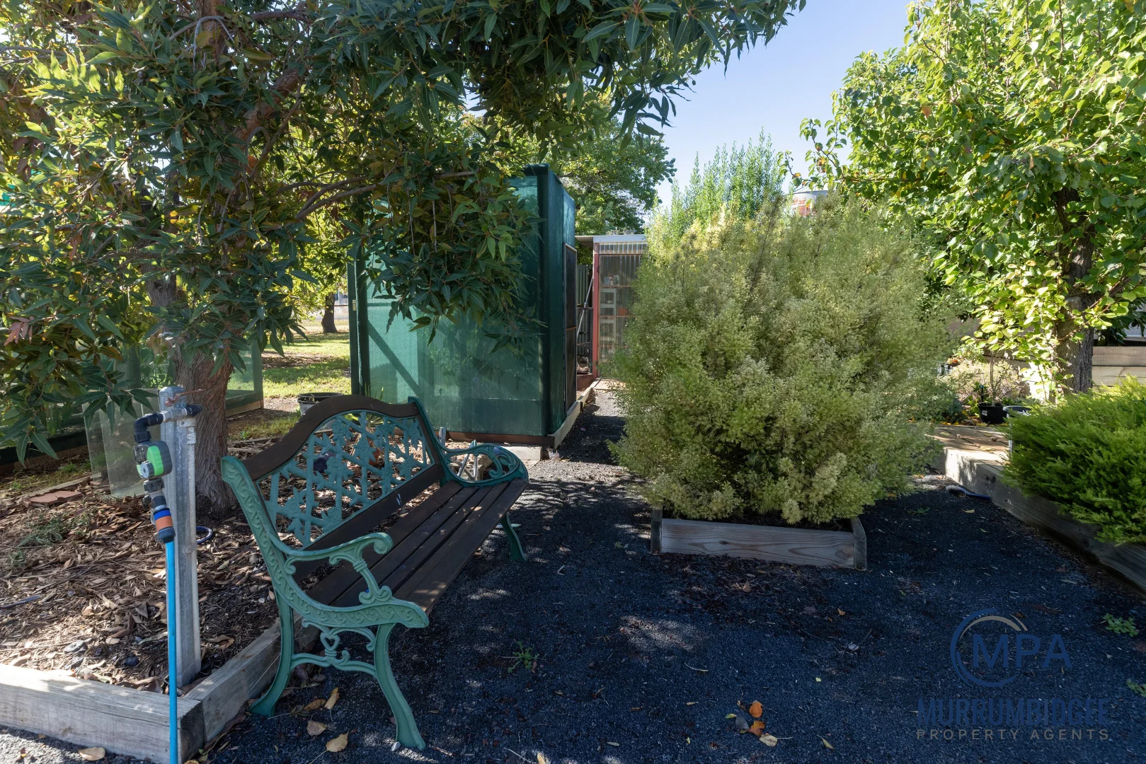Image 20