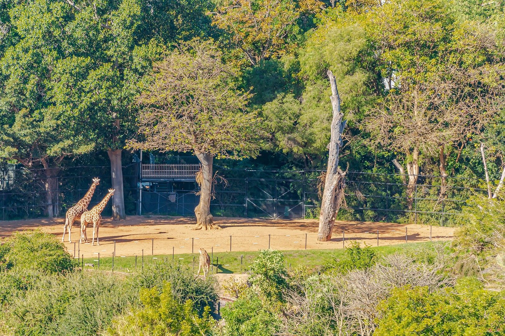 2 bedrooms Apartment / Unit / Flat in 1303/53 LABOUCHERE ROAD SOUTH PERTH WA, 6151