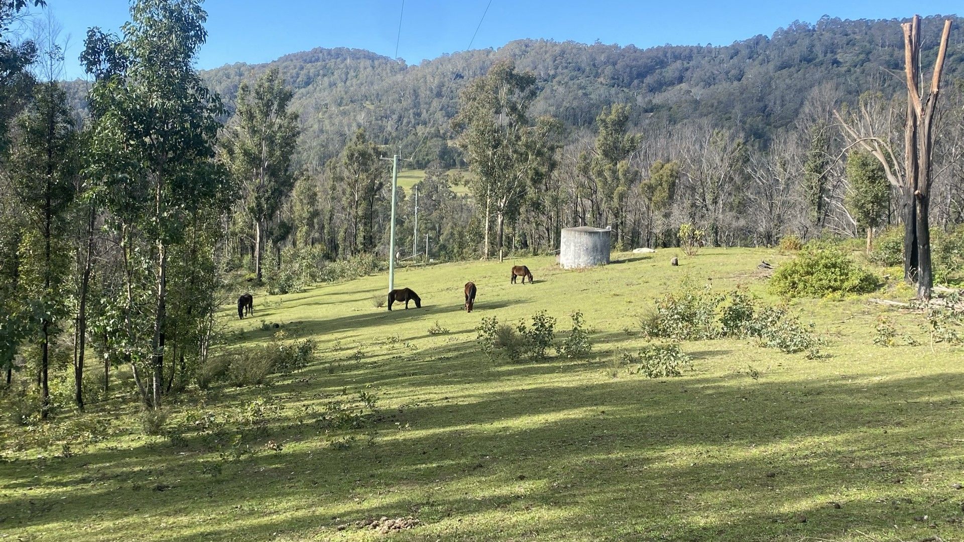 81 Brittens Road, Tantawangalo NSW 2550, Image 0