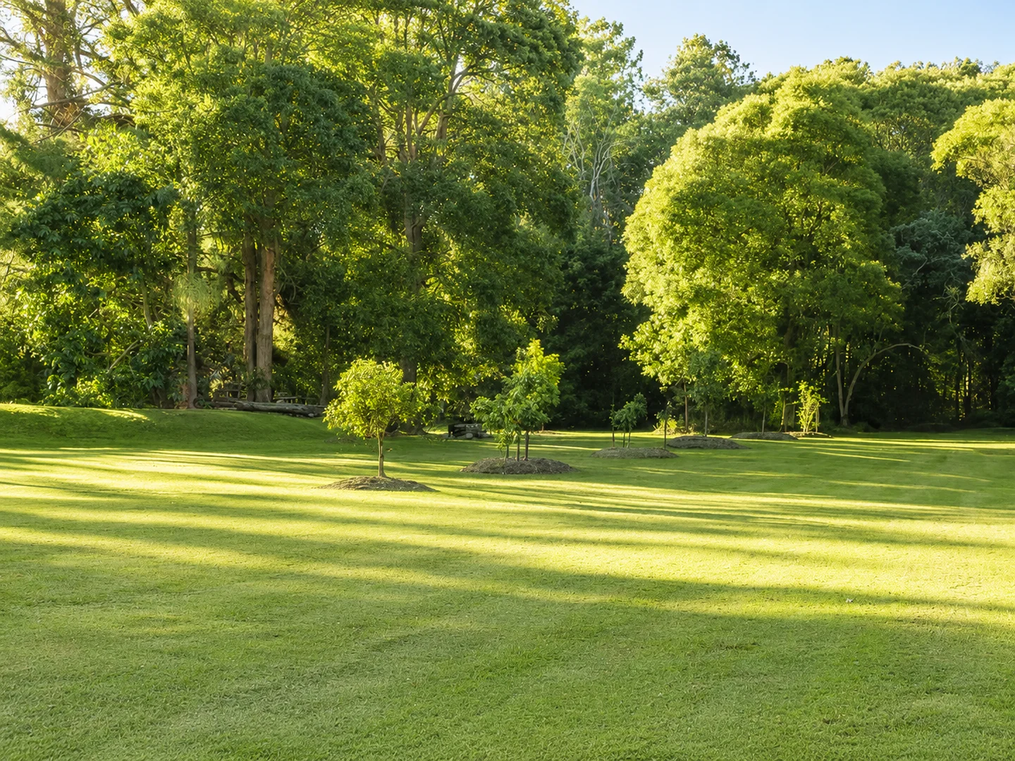 Image 21