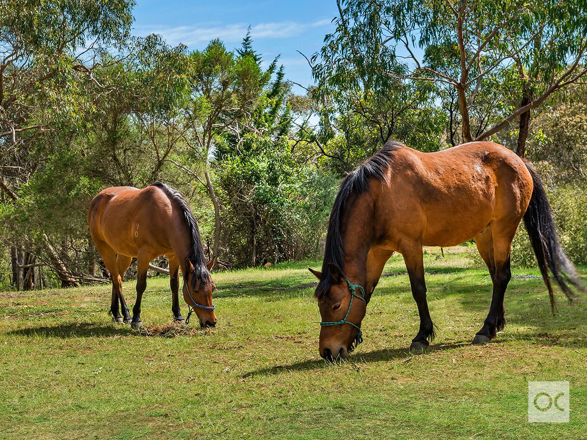 371 Ackland Hill Road, Coromandel East SA 5157, Image 1